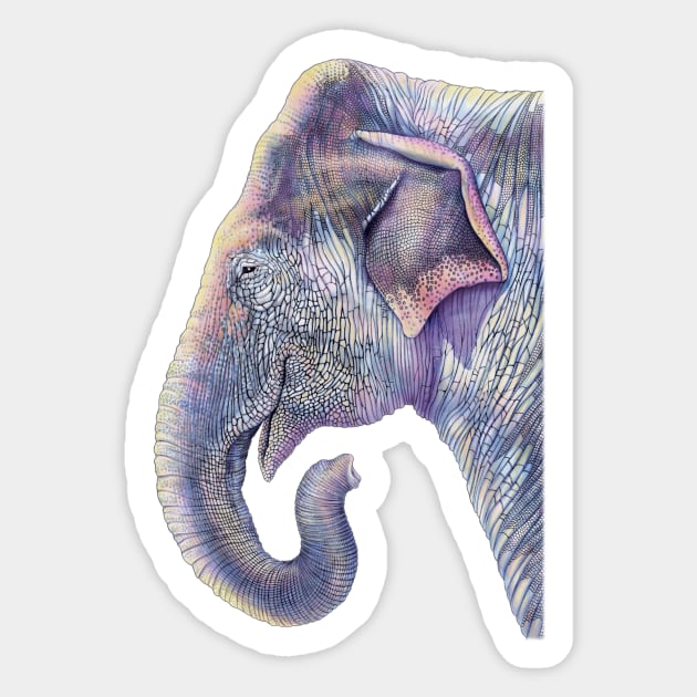 Elephant Sticker by Tim Jeffs Art
